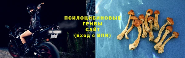 тгк Заволжск